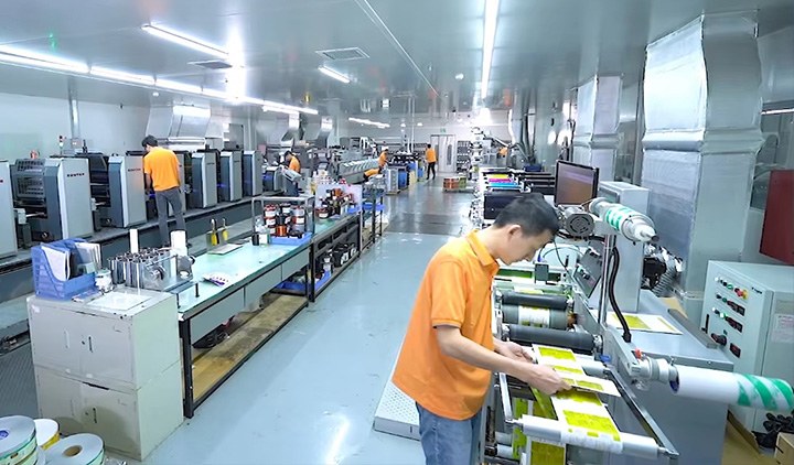 Thorough Quality Inspection